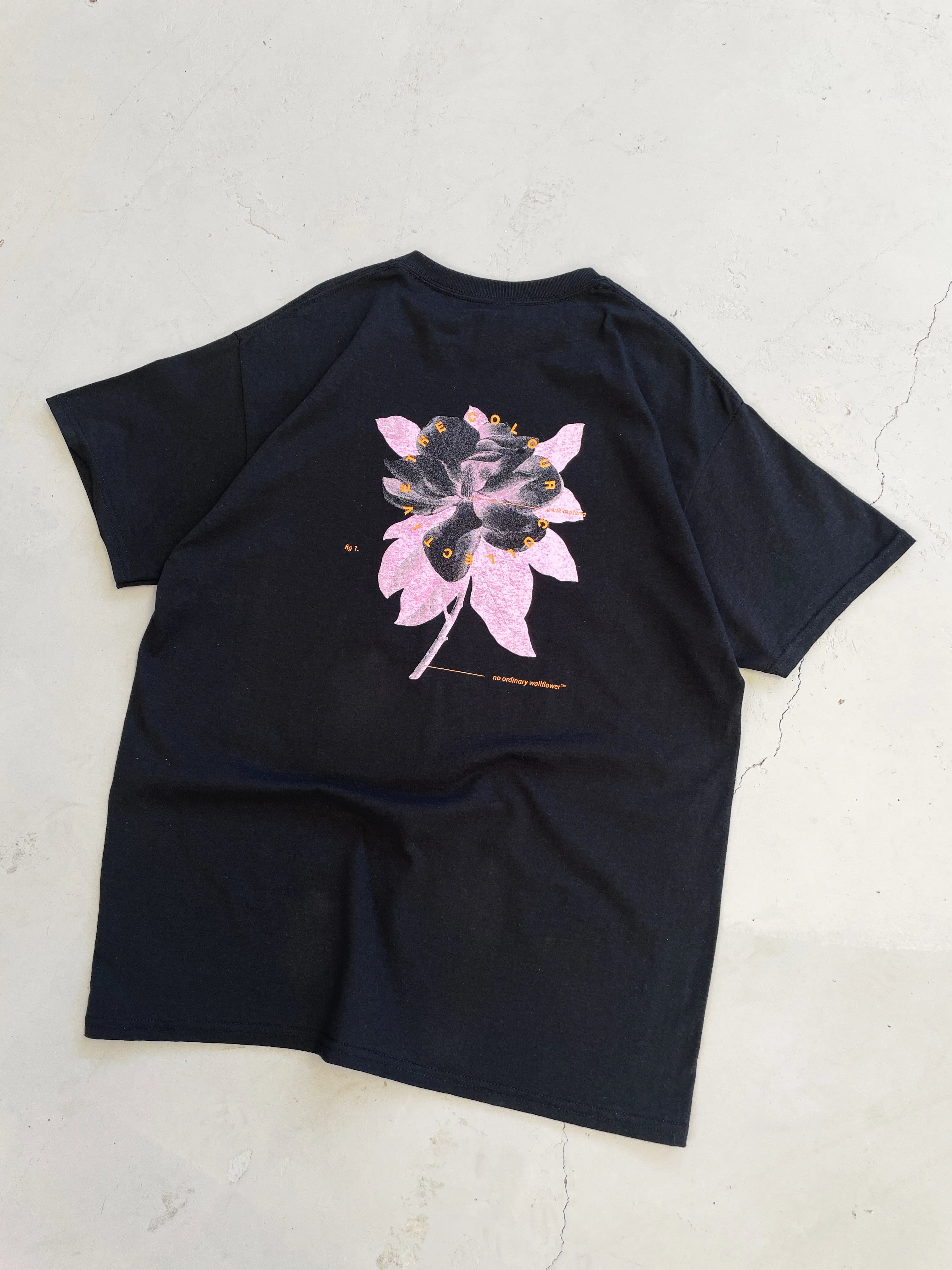 Colour Collective 'Science' Tee - Black